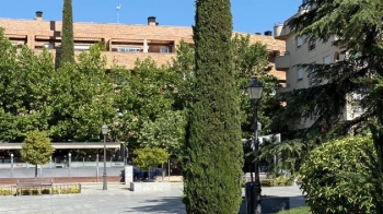 El Ayuntamiento invertirá un 40% más en el mantenimiento y conservación de sus parques y jardines en los próximos 4 años
