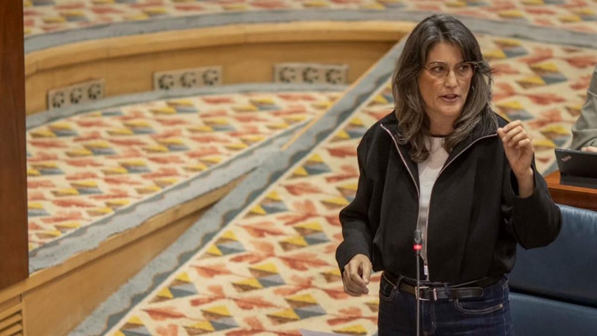 La formación que lidera Bergerot propone crear una comisión de estudio en la Asamblea de Madrid