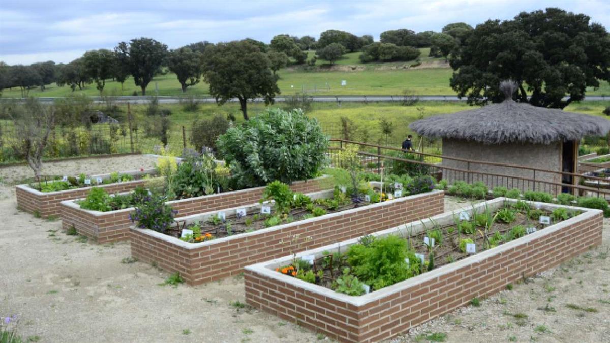 Más Madrid propone ampliar la red de huertos en Boadilla ante una demanda que deja fuera al 85% de los solicitantes