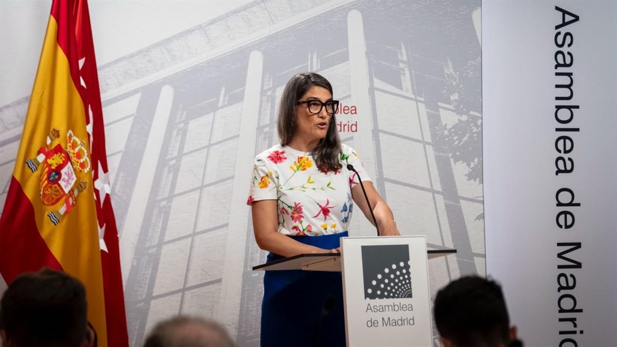 La formación sospecha que la autorización de las obras calificadas como "temporales" podrían ser un fraude de ley