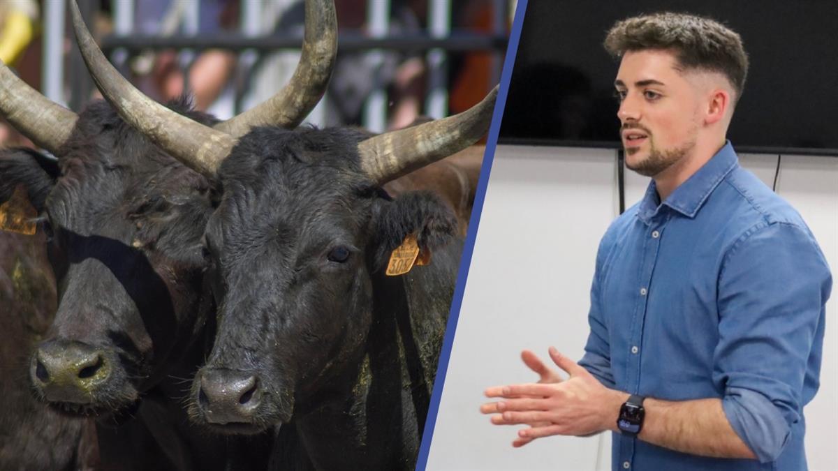 Desde la formación verde denuncian que "el gasto de dinero público asciende hasta los 30.000 euros para la causa"