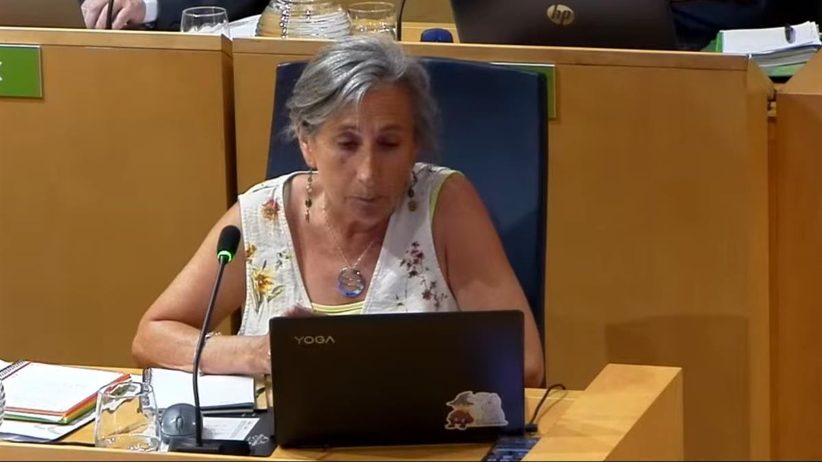 Ampliación de fuentes públicas y adaptación para perros, la propuesta de Más Madrid rechazada en el pasado Pleno
