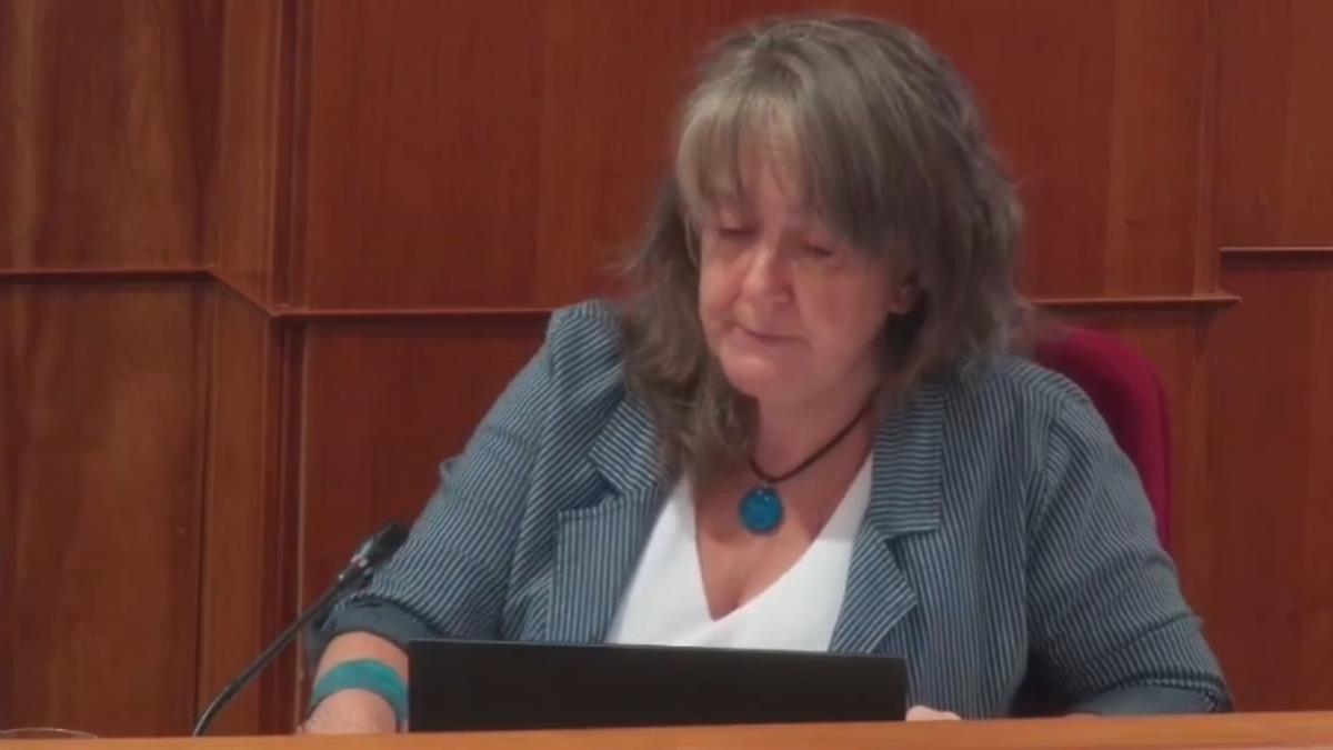 Más Madrid exige una partida específica destinada a salud mental comunitaria dentro de los Presupuestos para 2026

