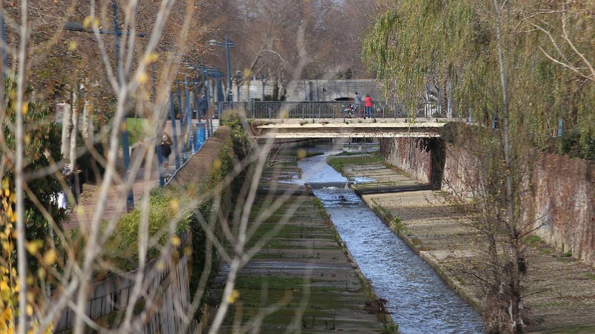 La formación recuerda que el origen de este proyecto se remonta a la moción que ellos registraron en 2020