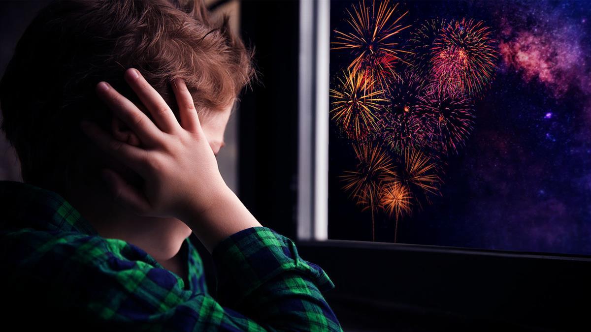 El grupo municipal aboga por la sustitución de los fuegos artificiales tradicionales