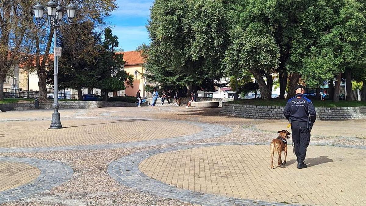 El principal objetivo es incrementar la seguridad ciudadana al rededor de la plaza de la Estación