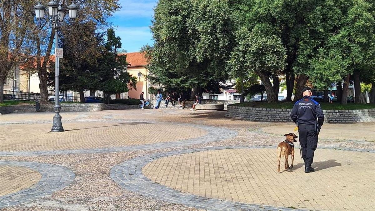 El principal objetivo es incrementar la seguridad ciudadana al rededor de la plaza de la Estación