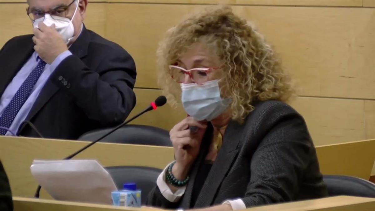 El grupo municipal presentará una moción en el próximo pleno