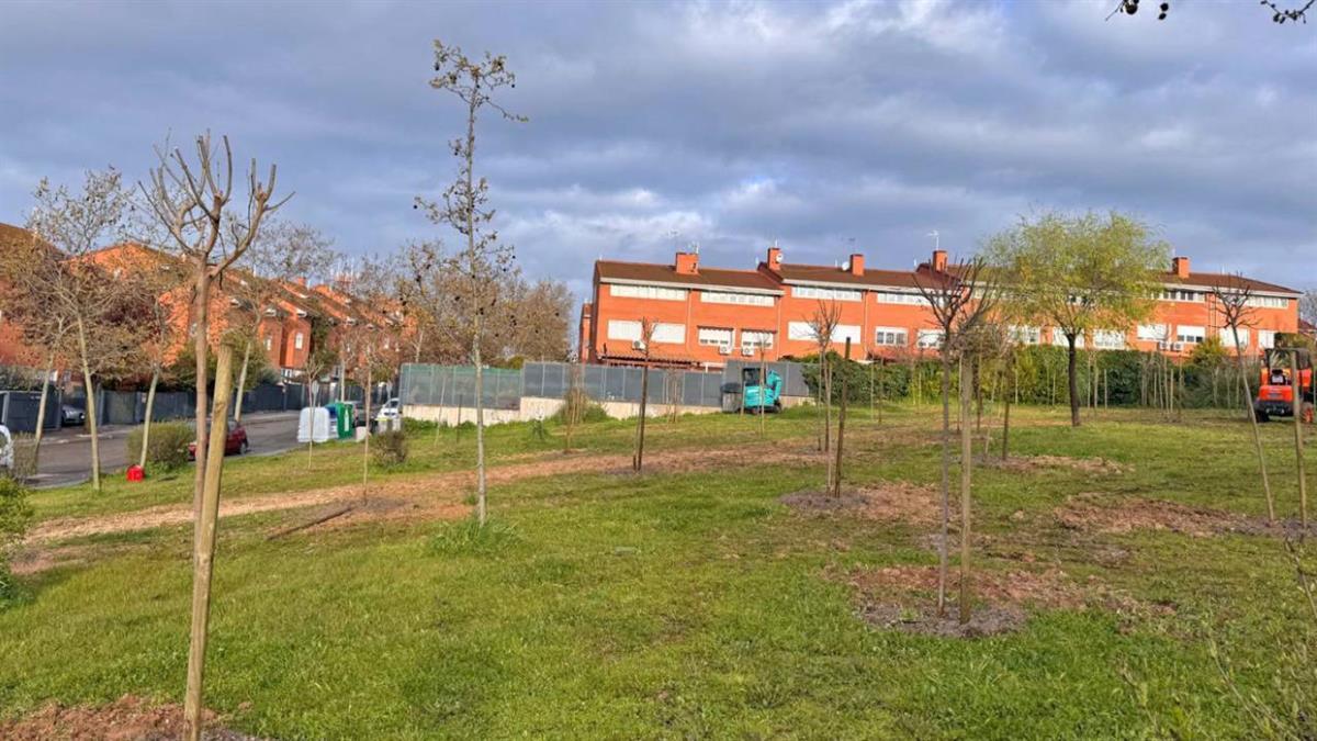 Con una nueva plantación de moreras