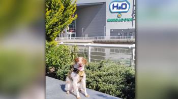 Desde el 24 de Marzo, el viernes pasado, el Centro comercial H2O es un espacio Pet Friendly