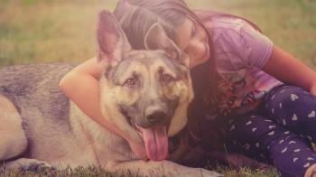 Desde el 5 de enero cambia su estatus judicial y ya no son "cosas" sino "seres sintientes" 