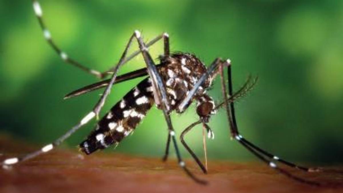 El ayuntamiento ha informado de las medidas preventivas que se deben adoptar 