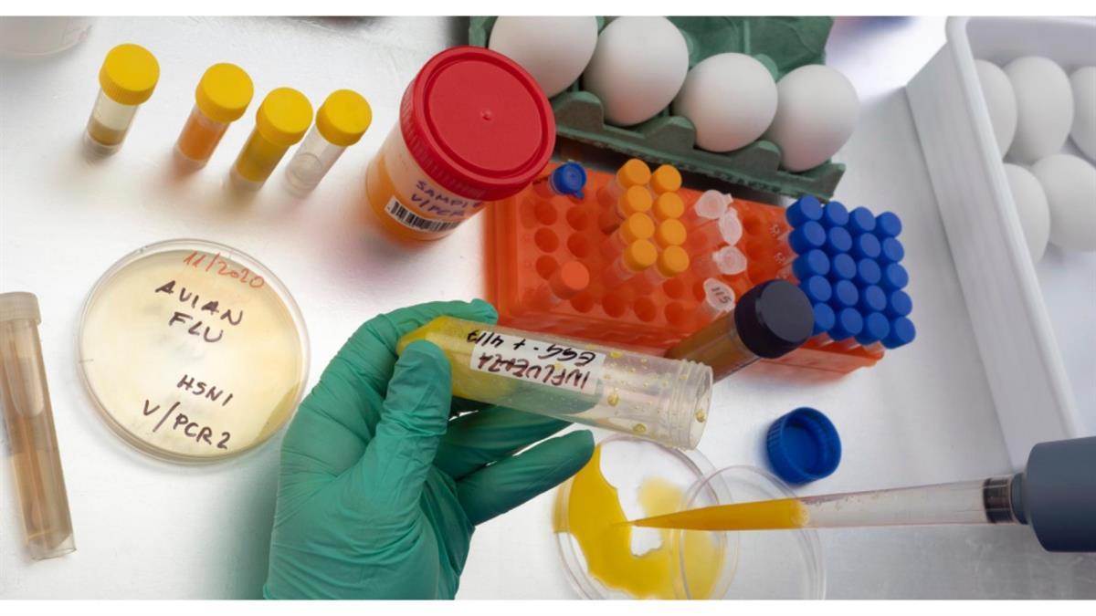 Habrá restricciones en la cría de aves al aire libre y se deberán tomar precauciones en el suministro de agua para las aves