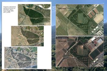 Lee toda la noticia 'Medidas urgentes para salvar un pinar del Parque de la Alhóndiga Sector III'