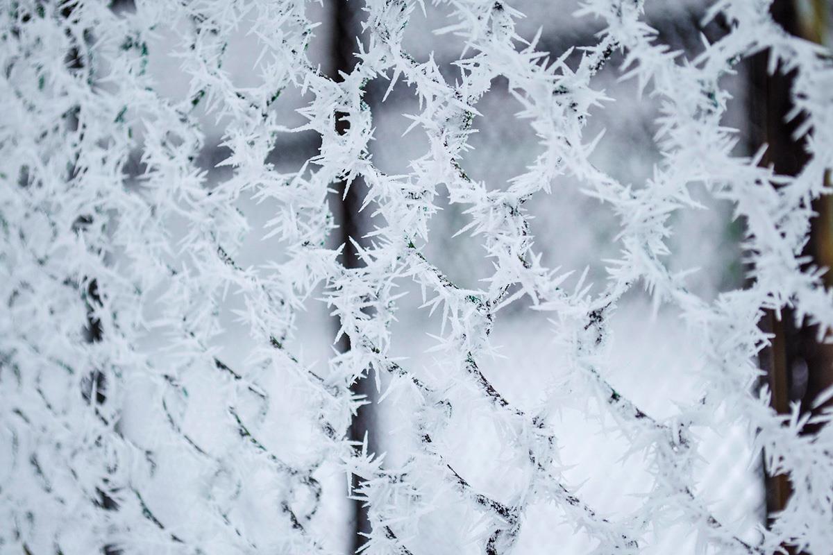El principal problema ahora es la formación de hielo en las aceras y el asfalto