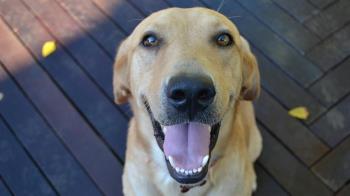 Según un estudio de MyBaggage que ha analizado las ciudades europeas de cara a 2022 