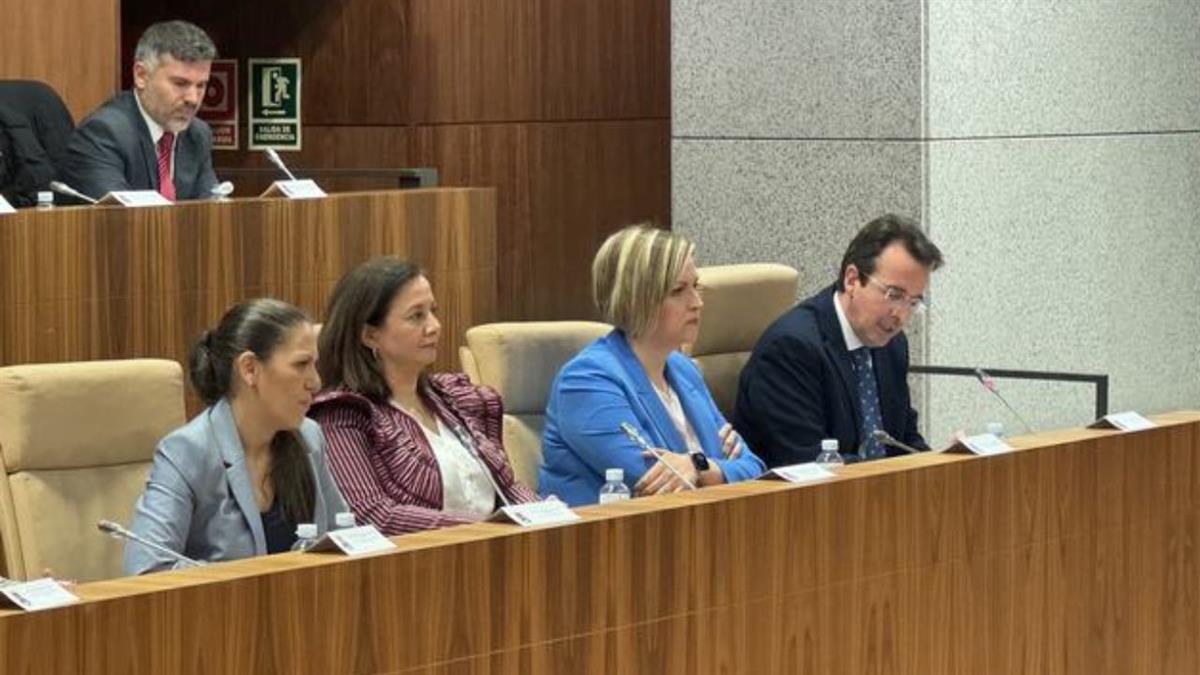 El Ejecutivo municipal presentará más de 20 proyectos para mejorar la ciudad