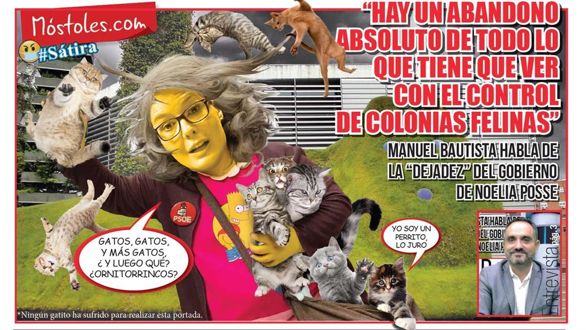 "Hay un descontrol absoluto de todo lo que tiene que ver con el control de colonias felinas"