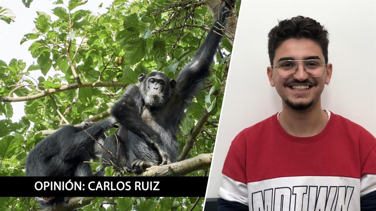 Una opinión de Carlos Ruiz sobre el estudio de Nature Communications