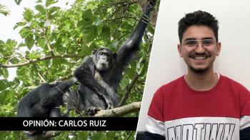 Una opinión de Carlos Ruiz sobre el estudio de Nature Communications
