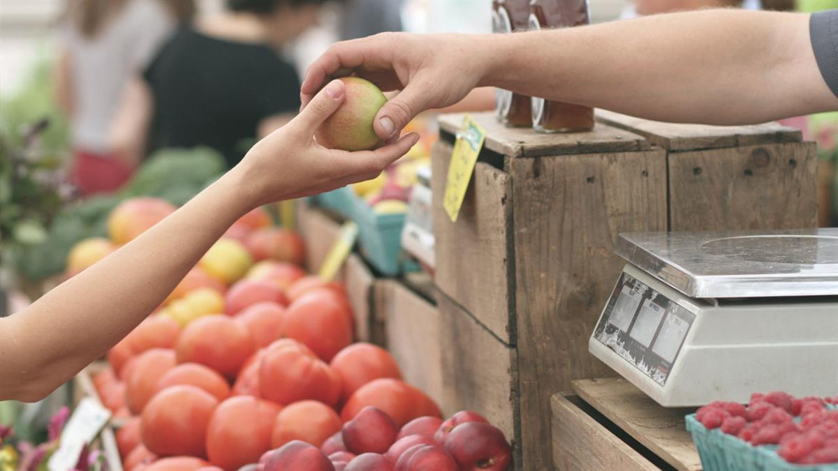 El sábado 2 de septiembre en la Plaza de la Constitución