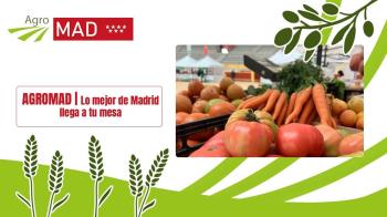 La plaza de toros de Las Ventas acoge tapeo, música y buen ambiente el próximo 25 de abril