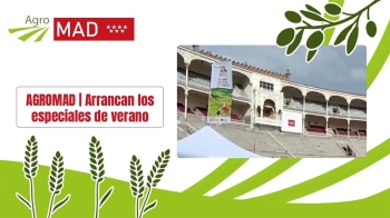 ‘Del campo madrileño a tu mesa’ te acerca los mejores productos después del verano