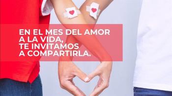 En la Comunidad de Madrid se necesitan diariamente 900 donaciones de sangre