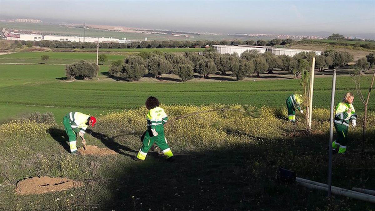 El "mes verde" contempla diversas actividades de concienciación medioambiental