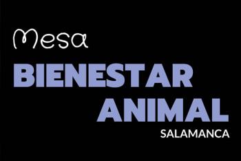 Presentación e invitación a los vecinos a conocer el trabajo de la Mesa de Bienestar de Animal del Distrito de Salamanca (Madrid)