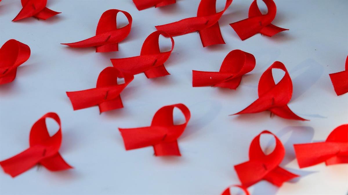 El 1 de diciembre de 10:00 a 13:00 horas