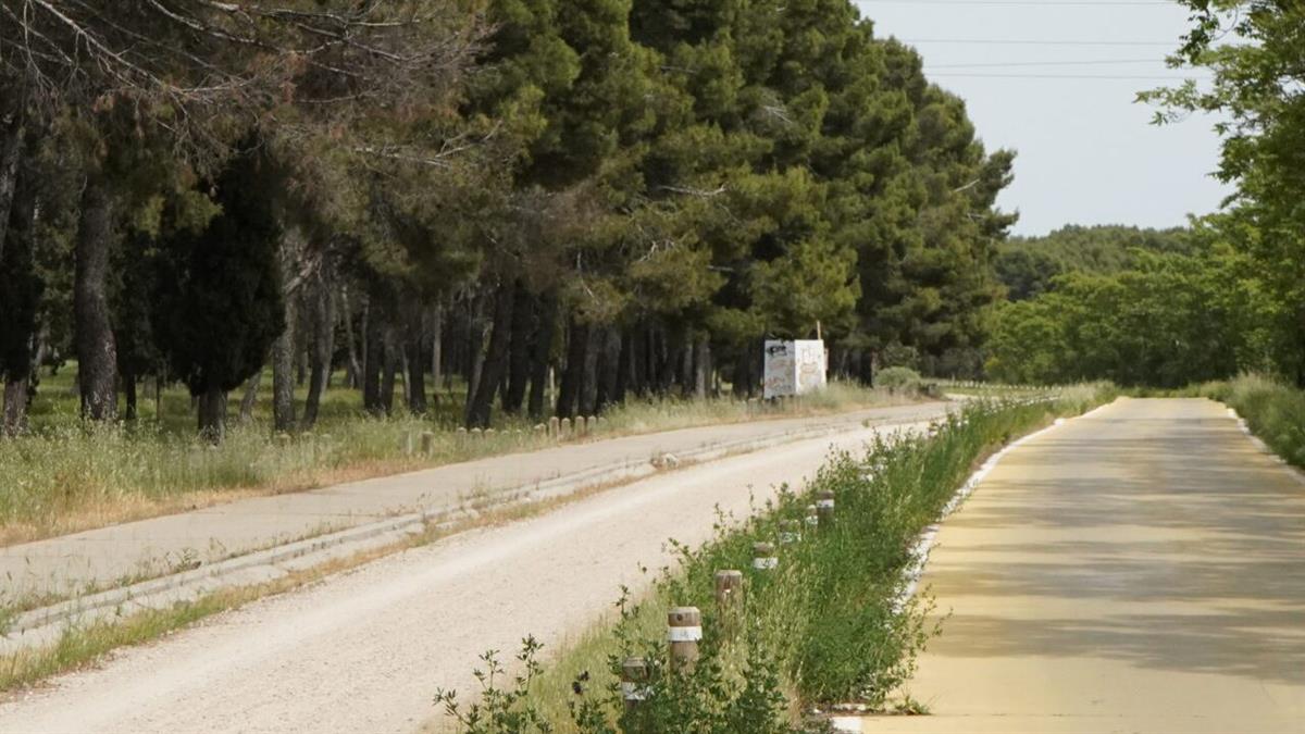 El portavoz del PP celebra los avances sobre el desdoblamiento de la carretera de Perales del Río