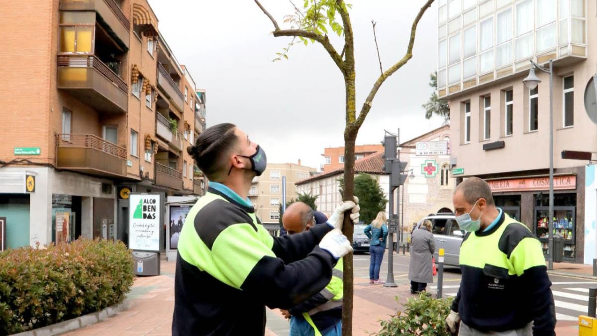 Tras la borrasca Filomena, el Ayuntamiento propuso una estrategia de plantación para suplir lo perdido