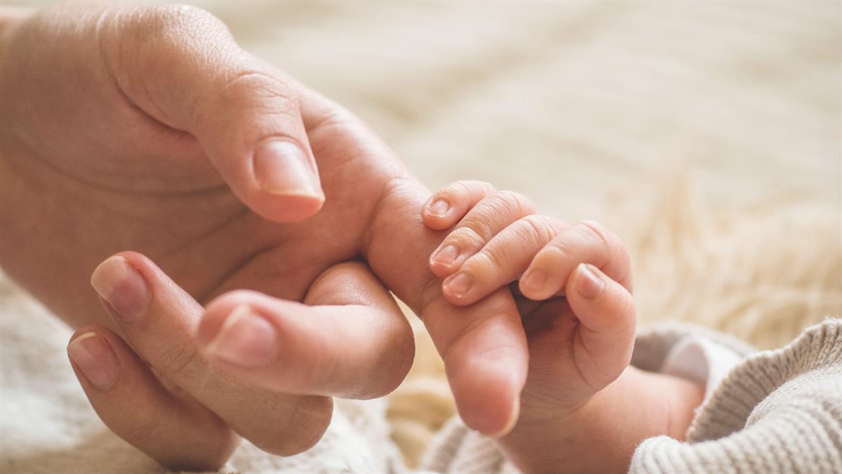 El plazo de solicitud es hasta el próximo 25 de mayo