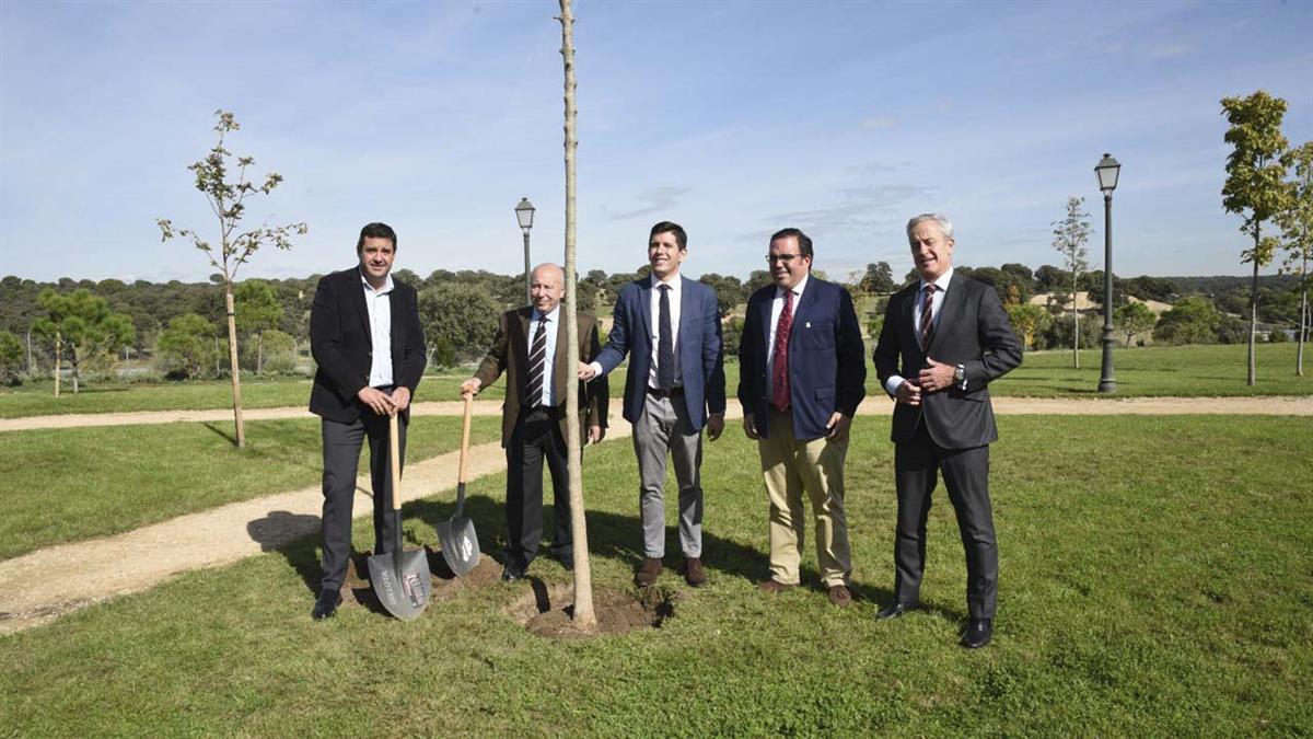 Los nuevos fresnos tienen un gran poder de absorción de gases de efecto invernadero
