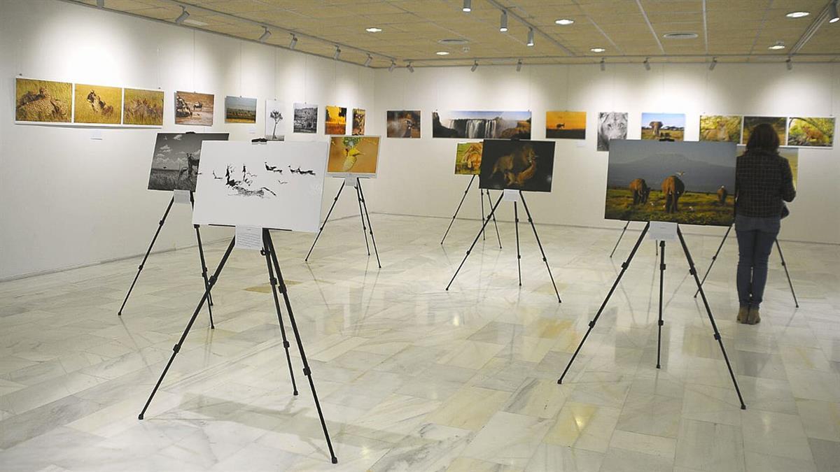 La exposición se compone de 50 imágenes que dan testimonio de sus viajes