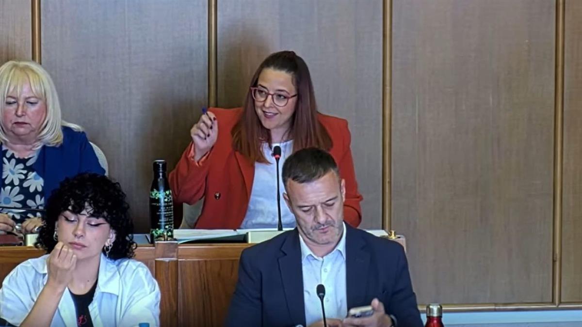 Más Madrid acusa al alcalde de "impedir que se sepa qué ha ocurrido con el fraude de las 150 viviendas de Fresnos”