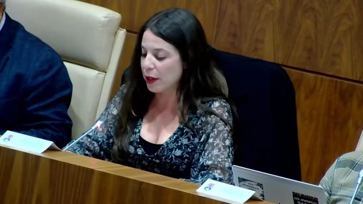La moción quedó aprobada únicamente por los votos a favor del grupo proponente y Más Madrid
