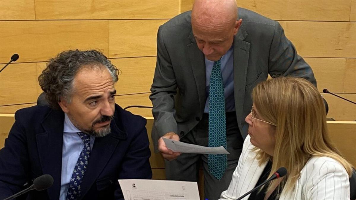 La moción de la formación verde salió adelante en el pleno del Ayuntamiento del mes de septiembre