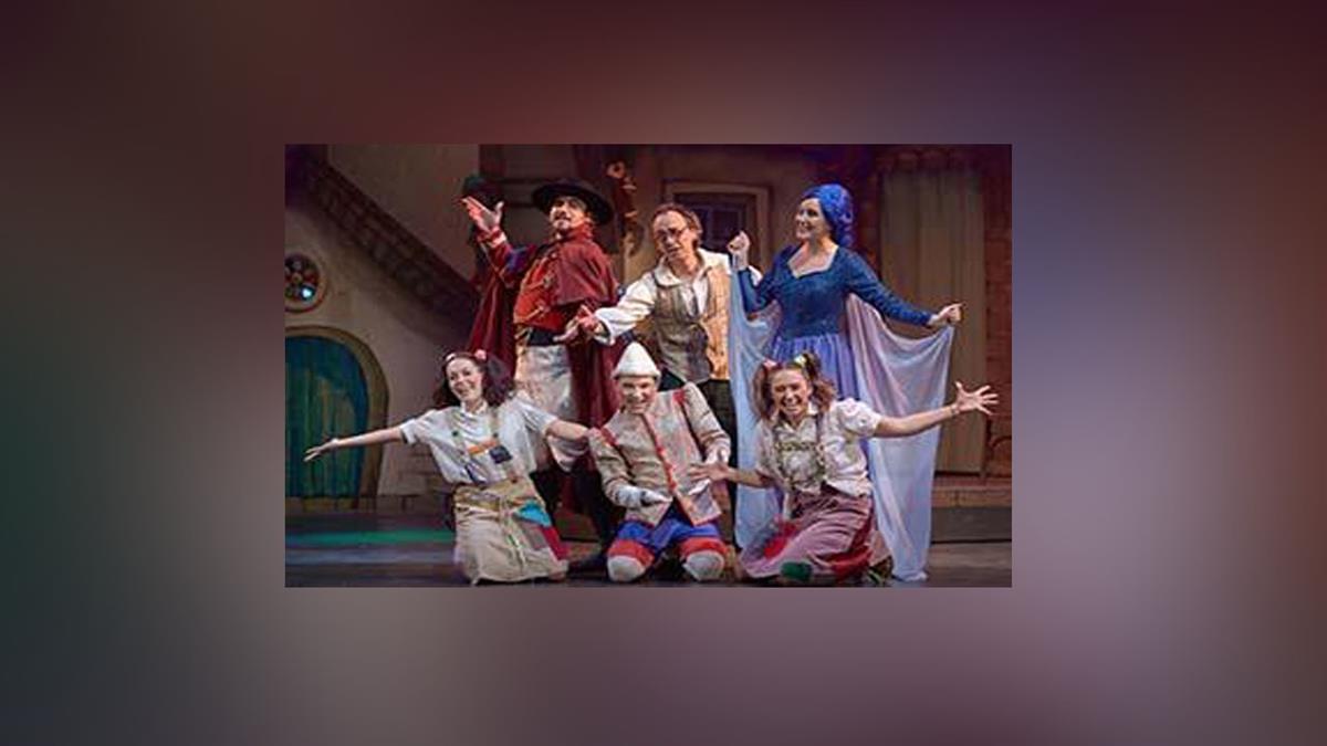 Afectan a dos actuaciones del Auditorio Teresa Berganza