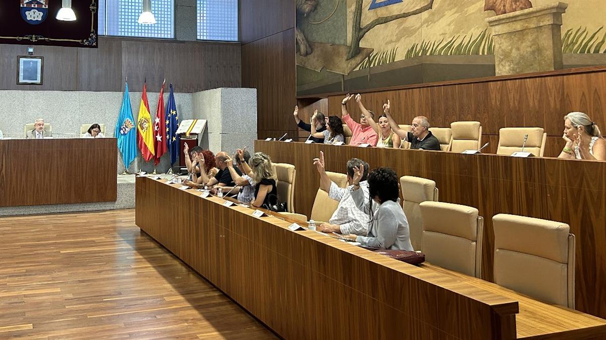 El pleno municipal ha debatido y votado modificaciones presupuestarias para realizar inversiones que se pactaron con la FLAVL