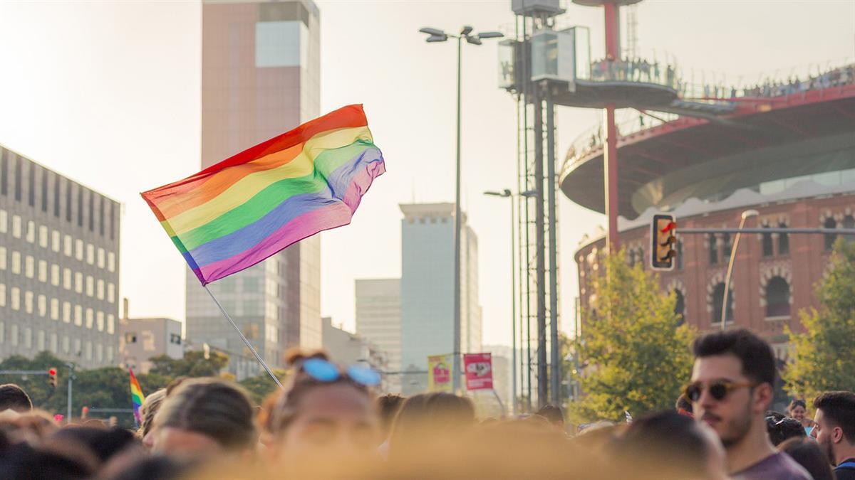 El módulo está orientado a la comunidad educativa