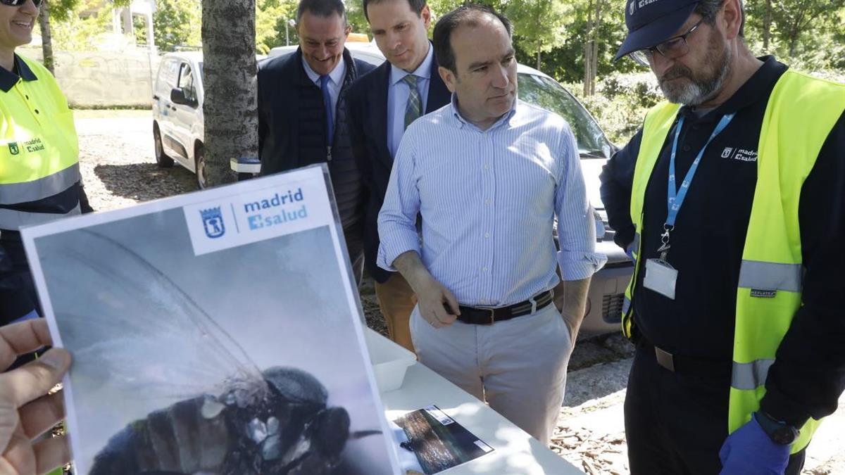 Carabante ha supervisado hoy los trabajos de la campaña 2024 en el río Manzanares
