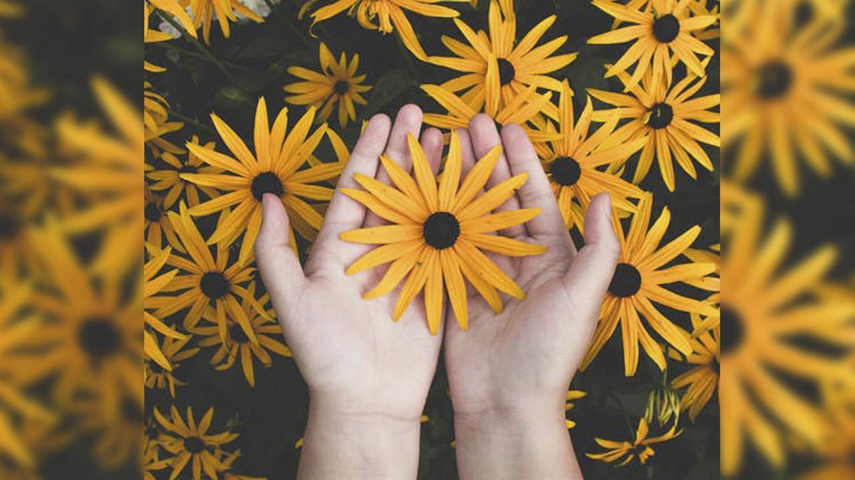 El objetivo es concienciar sobre la importancia de preservar el entorno natural