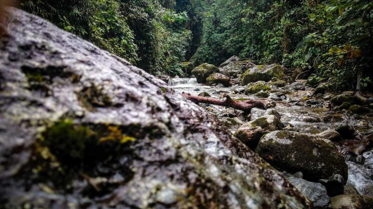 Se desarrollarán desde el 31 mayo al 9 de junio