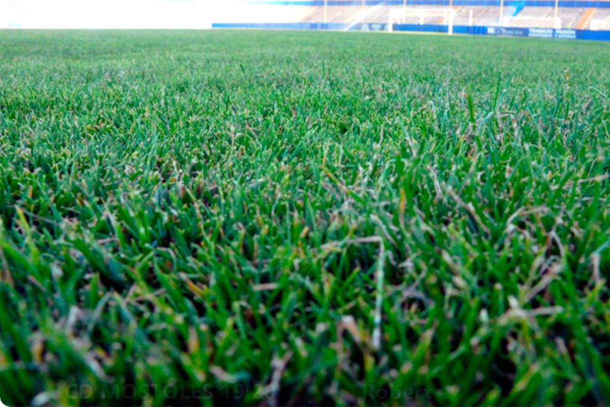 Ambos equipos competirán contra el resto de clubes de la zona sur de Madrid