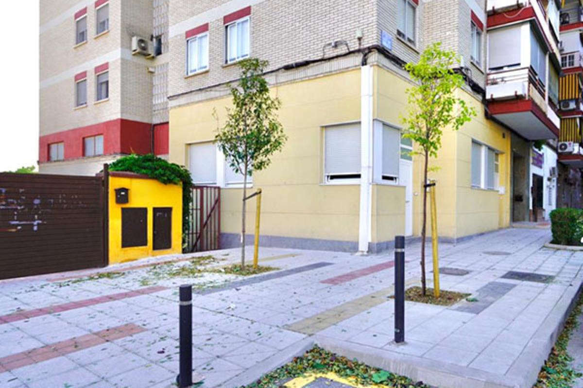 El municipio prevé plantar 500 árboles más