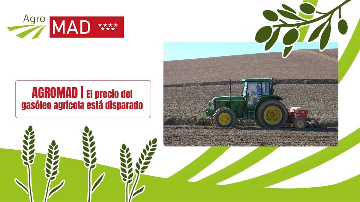 ASAJA, UPA y COAG preparan movilizaciones por la subida del gasóleo agrícola