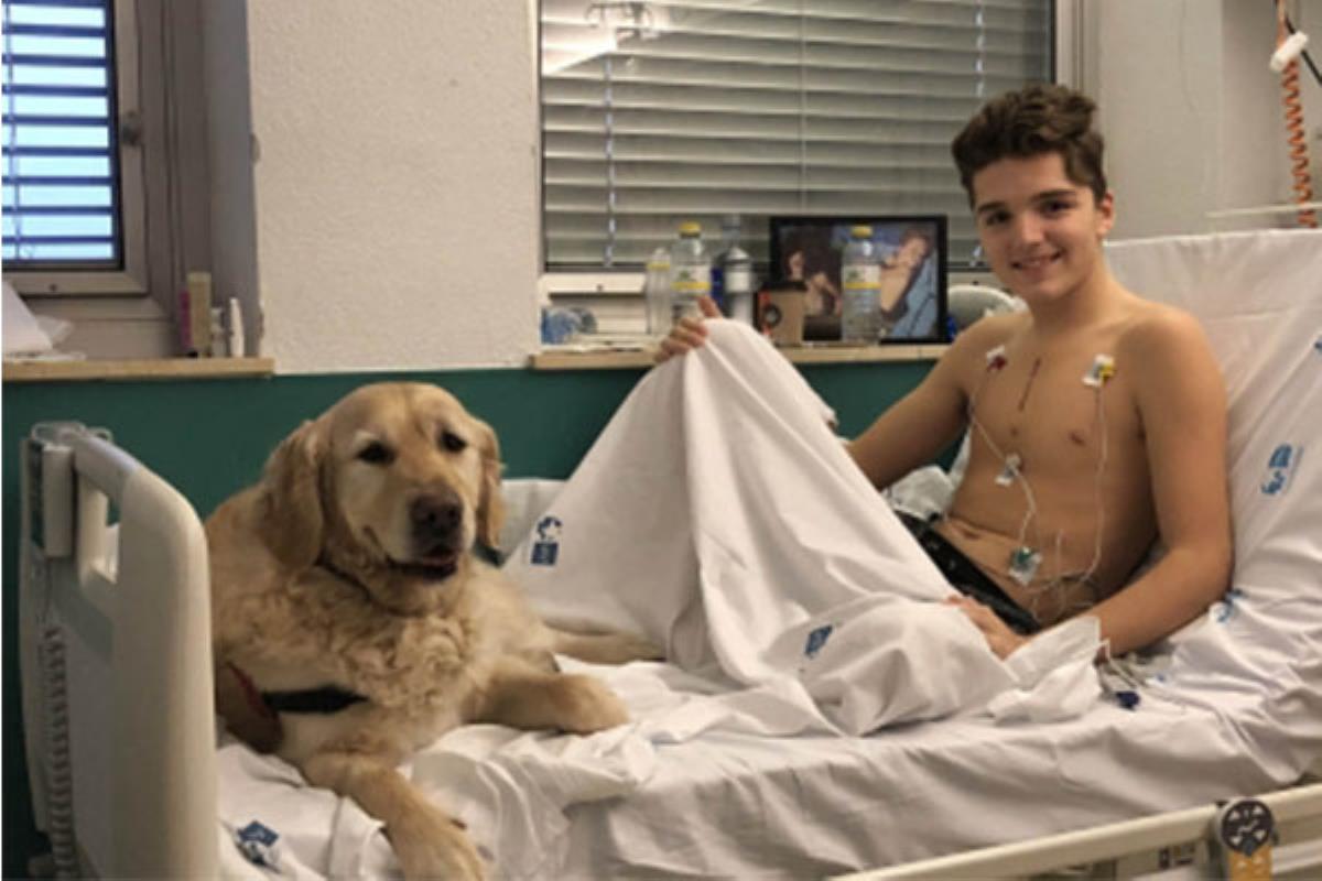 La terapia asistida con perros a niños ingresados en la UCI del Hospital 12 de Octubre