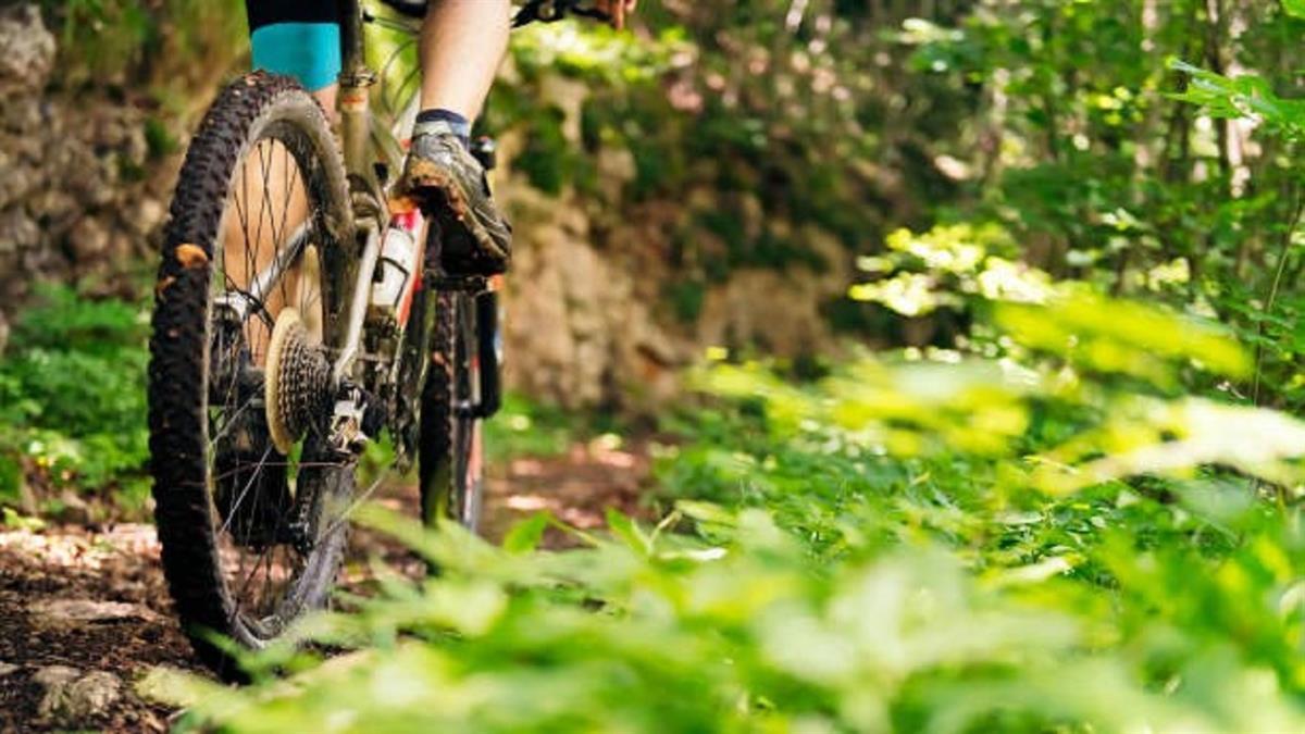 Se ha organizado una marcha no competitiva el 14 de abril en Moraleja de Enmedio